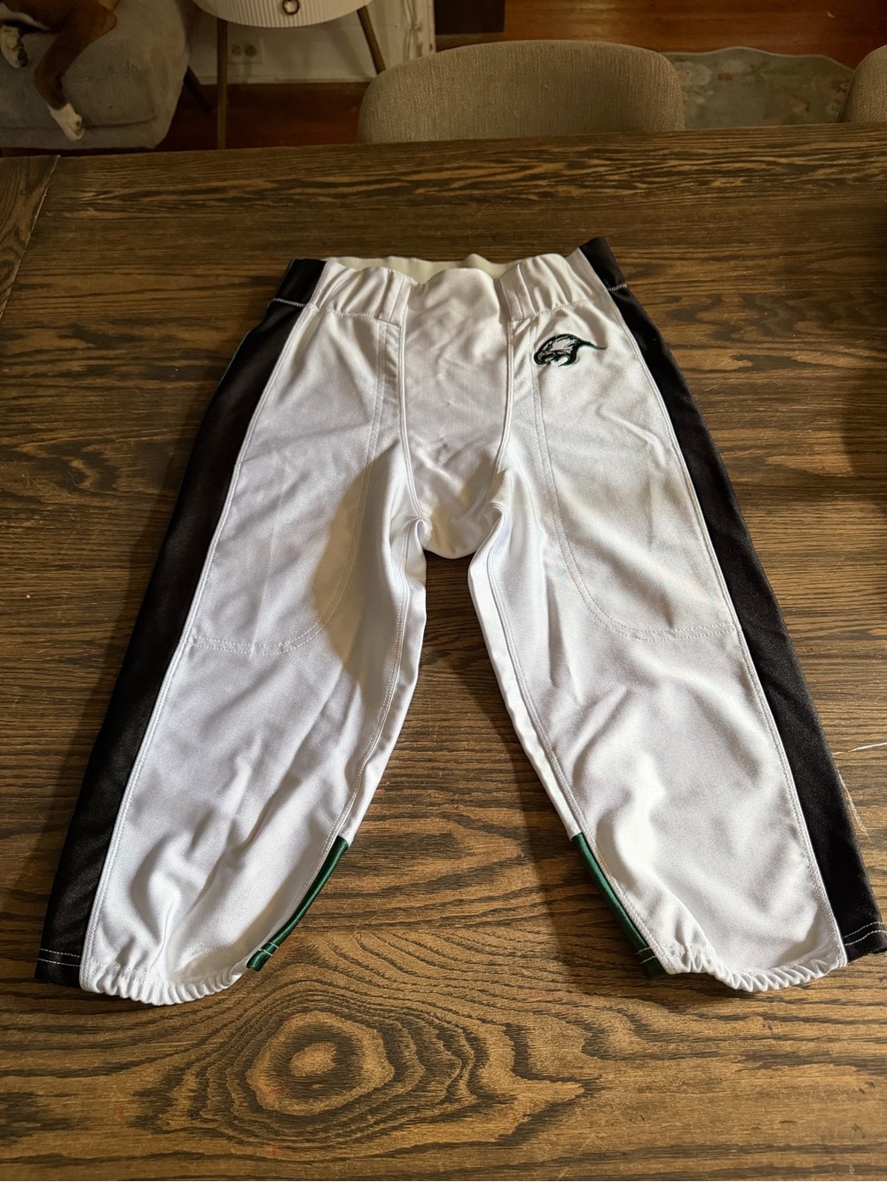 Eagles Football Pants 0074